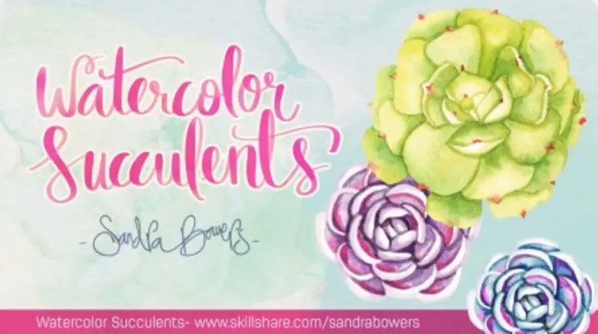 Watercolor succulents 