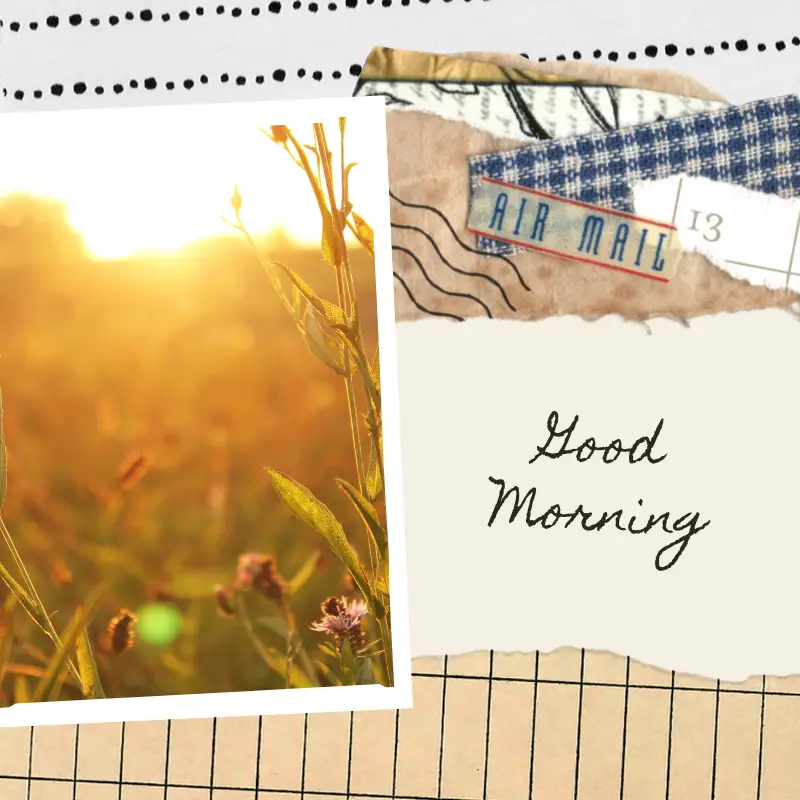 Morning pages journal photot