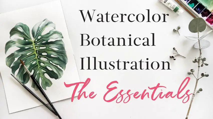 Botanical watercolor illustration class