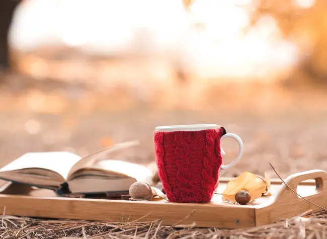 mug and book on tray outside