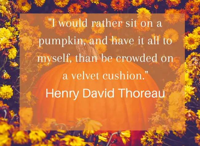 Autumn quote with pumpkin and flowers